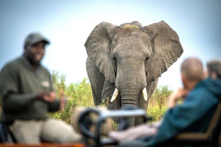 2 Nights Gondwana Safari Tour from Cape Town