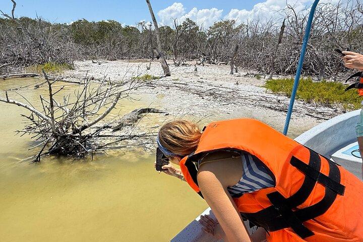 Rio Lagartos und Las Coloradas – 4-stündiges Natursafari-Erlebnis