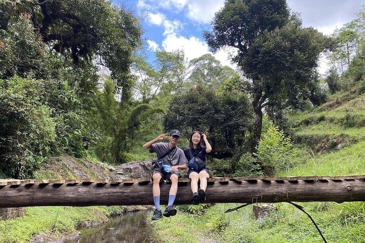 Kilimanjaro Culturele Tour : Chagga, liedjes, keuken & gemeenschap