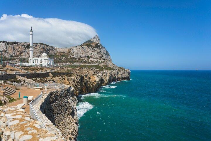 Gibraltar Sightseeing & Dolphin Watching Tour from Costa del Sol