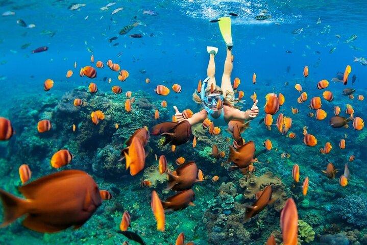 Bali Blue Lagoon Snorkeling with Lunch & Hotel Transfer