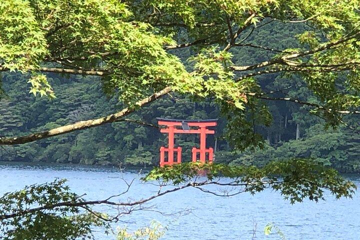 Santuario di Hakone e Checkpoint Tour guidato-Van