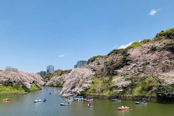 Imperial Palace East Garden Private Tour from Tokyo