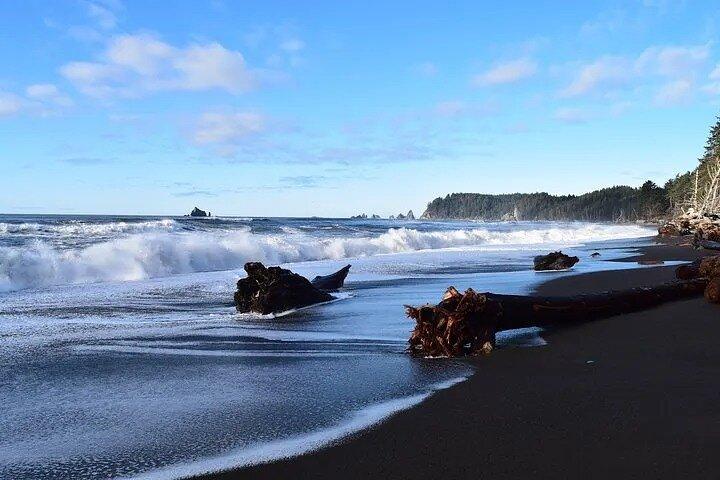 De Seattle Private Hoh Rain Forest e Rialto Beach Tour