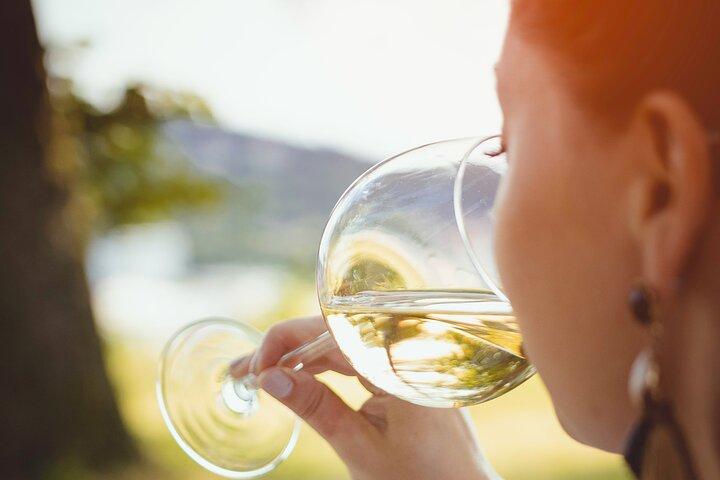 Privat Cape Winelands vinsmagningstur