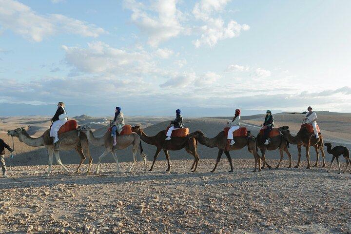 Agafay dersert Dinner & show with Quad Biking and Camel Ride
