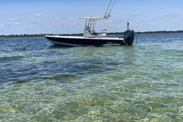 Panama City Beach Florida, Dolphin, Shell Island e tour ecologici
