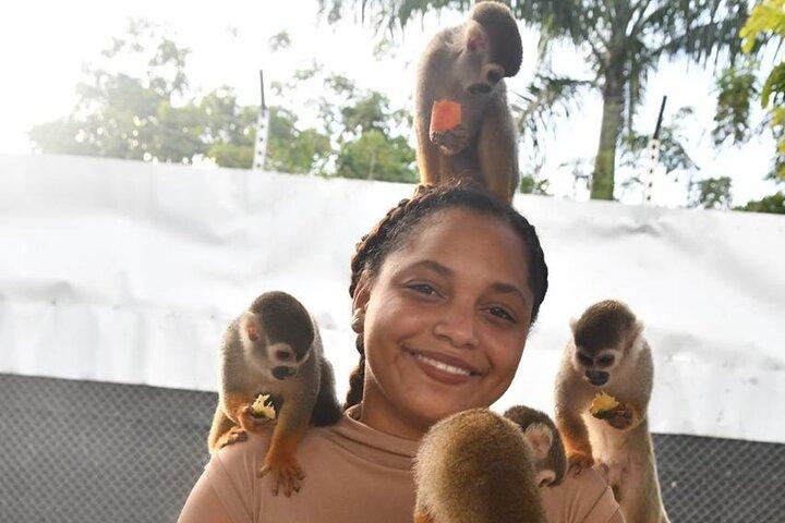 Monkey Home Puerto Plata Countryside Tour