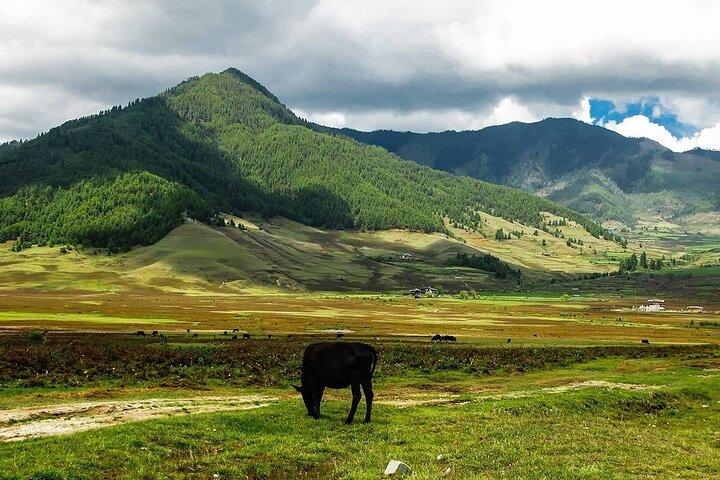 Aangepaste 10-daagse Bhutan familietour vanuit Paro (privé)