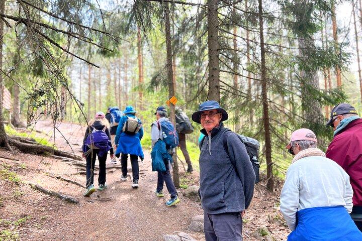 Nationaal parkwandeling & Finse rooksauna-ervaring met kampvuurlunch