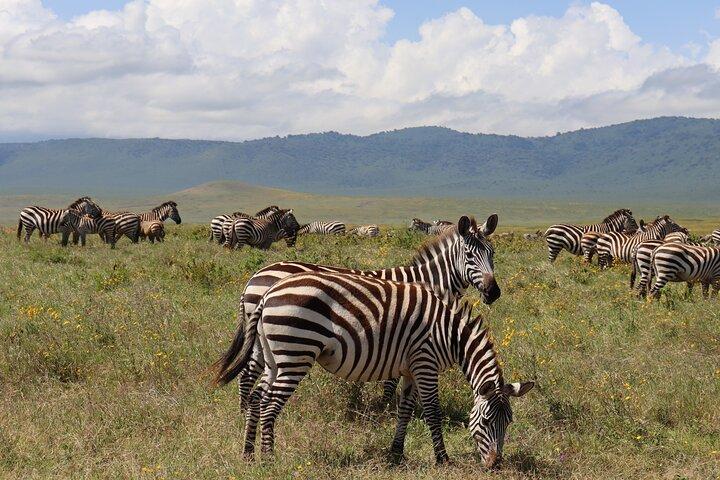 5-dagars grupp Camping Safari äventyr
