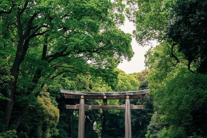 Private Custom Tokyo Tour VIP