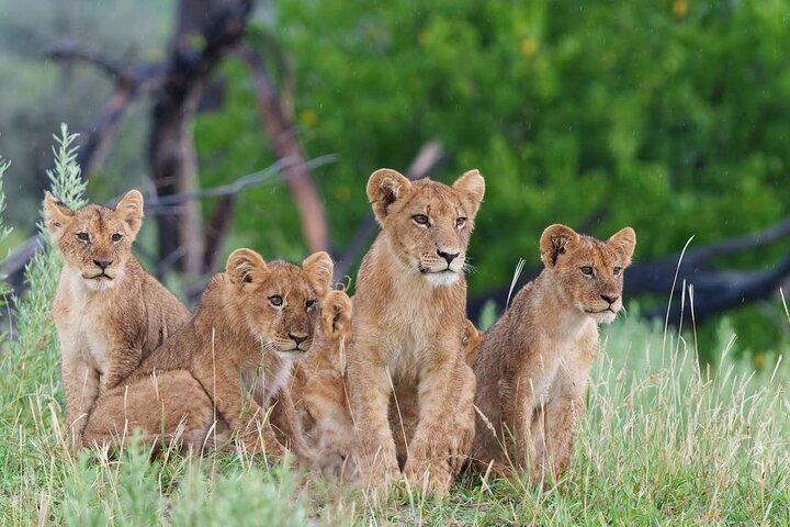 Randonnée privée de 3 jours et transfert au parc national