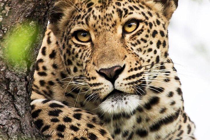 Randonnée privée de 3 jours et transfert au parc national