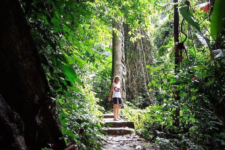 2 - Day Ninh Binh Adventure : Trang An, Tam Coc, Hoa Lu & Mua Cave