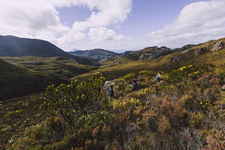 Cidade do Cabo: Excursão de meio dia em Cape Canopy - Zipline e 4x4 Adventure