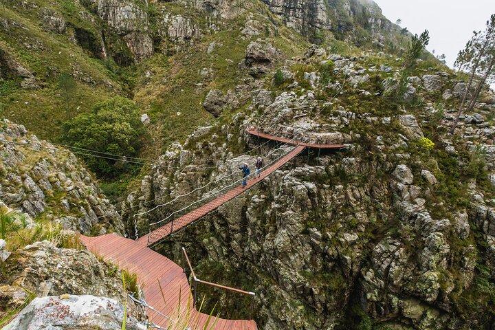Cidade do Cabo: Excursão de meio dia em Cape Canopy - Zipline e 4x4 Adventure