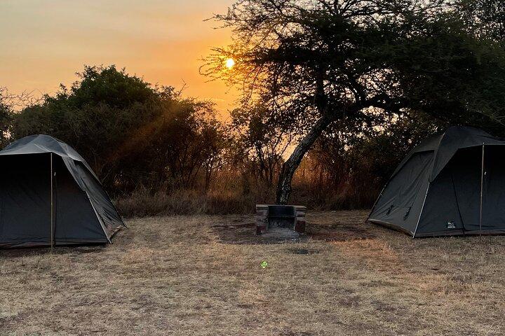 2-dages Akagera Wildlife Safari, A Night Bush Camp og bytur