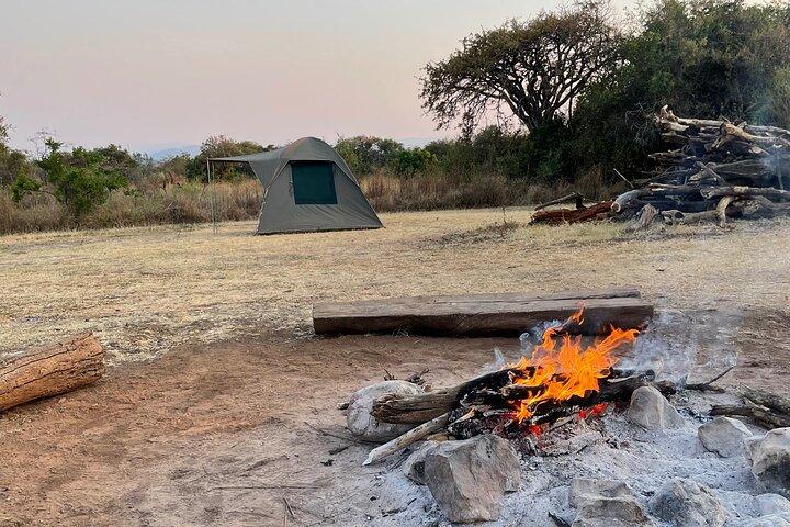 2-dages Akagera Wildlife Safari, A Night Bush Camp og bytur