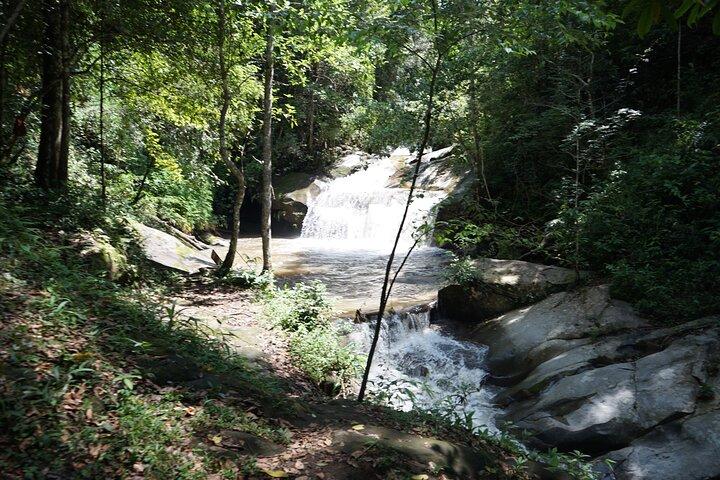 Chiang Mai Trekking Tour Heldag