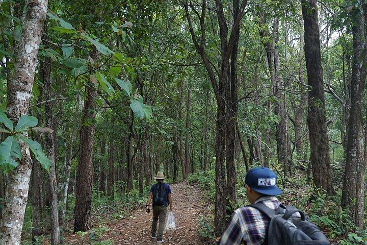 Chiang Mai Trekking Tour Heldag