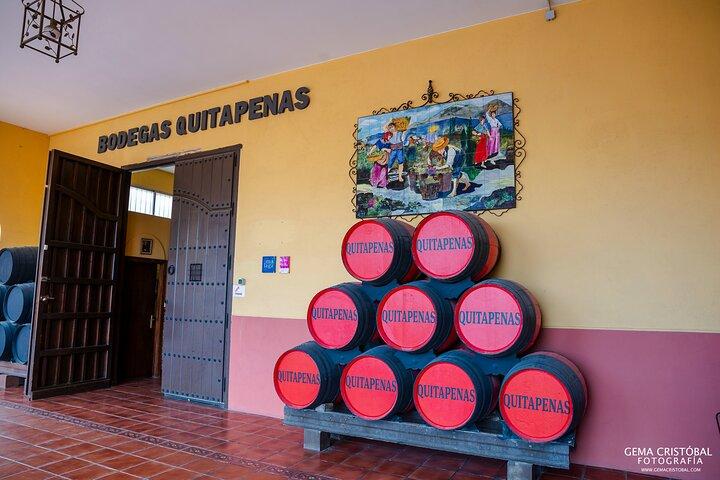 Besøg den ældste vingård i Malaga og vinsmagning