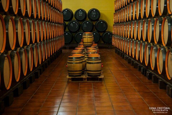 Besøg den ældste vingård i Malaga og vinsmagning
