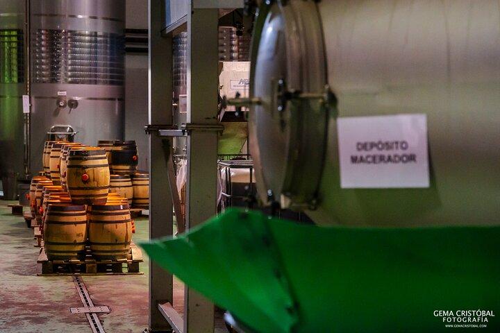 Besøg den ældste vingård i Malaga og vinsmagning