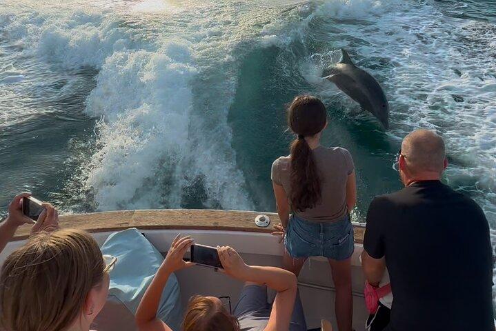 2 timmars privat delfinsightseeingtur