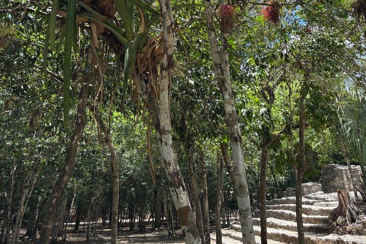 Cobá Ruins Tour (privat, halvdag)