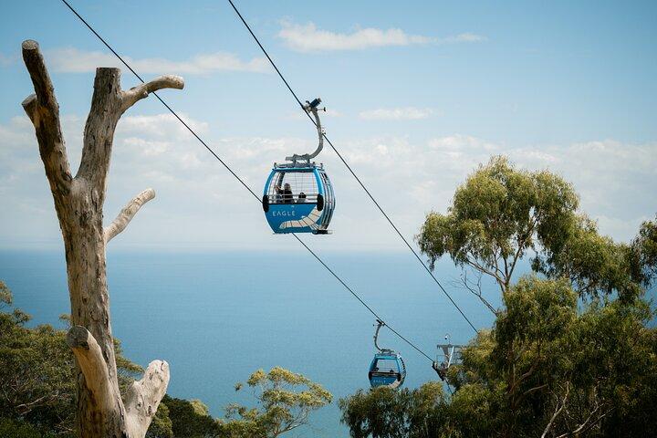 Depart Peninsula: Mornington Peninsula Food and Wine Tour