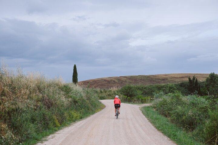 Chianti - Découvrez la beauté de la Toscane : Excursion en E-Bike et dégustation de vins