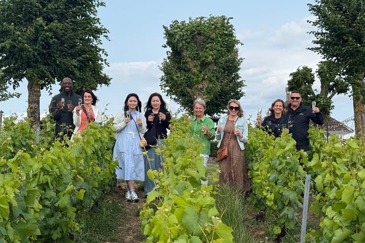 Paris: Champagne Day Trip with Tastings, Cathedral & Pickup