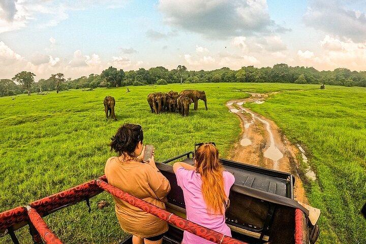 Trincomalee to Sigiriya: Excursão Rural Village e Safari de Elefantes