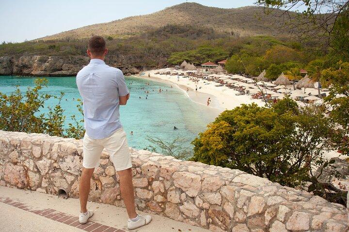 Turtles, Beach and Flamingo in Curacao Private photoshoot Tour