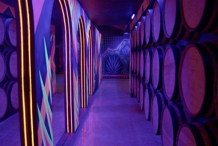 Esperienza immersiva e degustazione di tequila a Puerto Vallarta