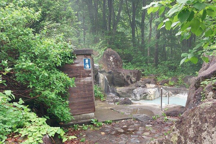 Tsubame Onsen e Lago Nojiri: Passeio pela natureza e passeio de almoço