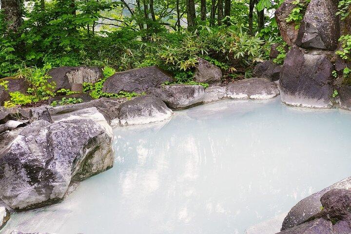 Tsubame Onsen e Lago Nojiri: Passeio pela natureza e passeio de almoço