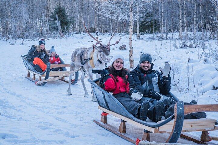 Kuoksa Reindeer Adventure