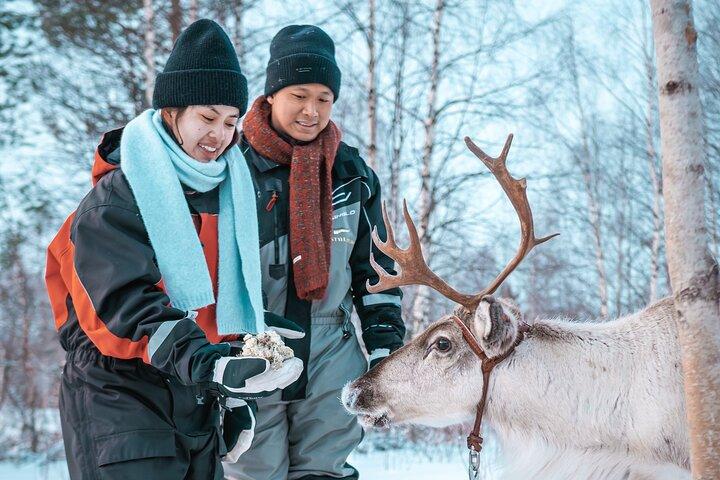 Kuoksa Reindeer Adventure