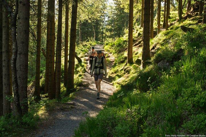 Oben auf Bergen - Öffentliche Tour