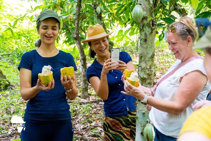 Tour da Fazenda do Cacao à Fábrica de Chocolate