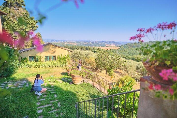 Florence: Privat heldag Chianti Tour og vingård Lunch valgfrit