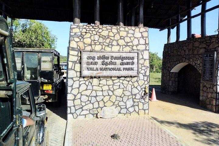 Yala Safari - Tour completamente privato - Con pick-up e trasferimenti dall'hotel