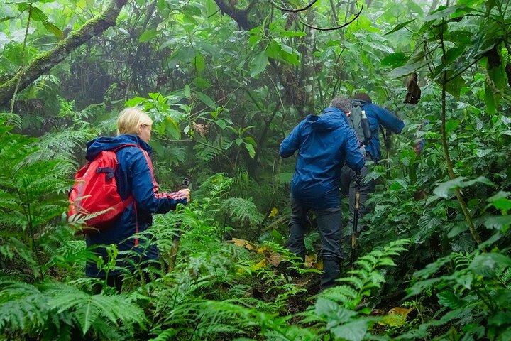 2 dages vandreture til Mount Karisimbi
