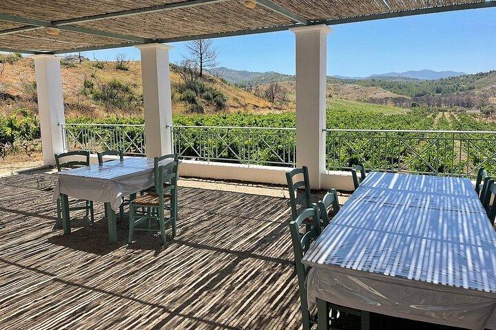 Privétour Rhodos, Vallei van de Vlinders & Lokale Wijnmakerij