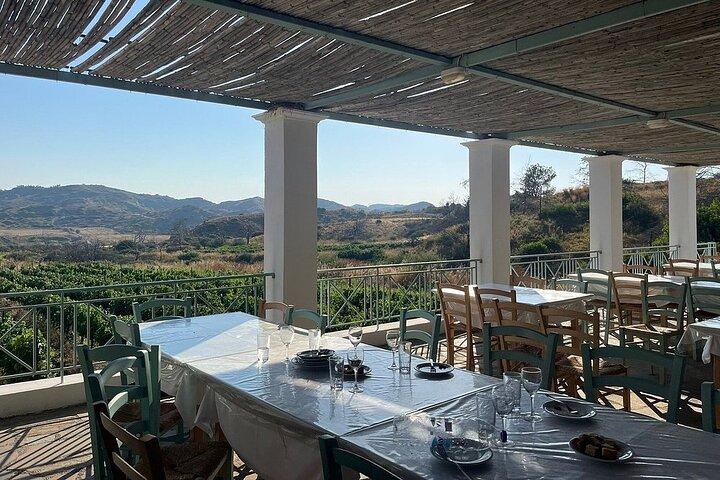 Privétour Rhodos, Vallei van de Vlinders & Lokale Wijnmakerij