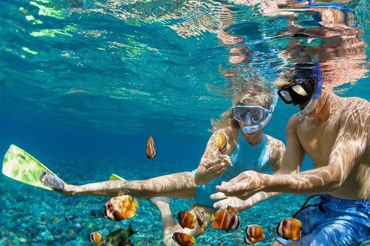 Nusa Penida Manta Point ou Manta Bay Snorkeling Trip à Bali
