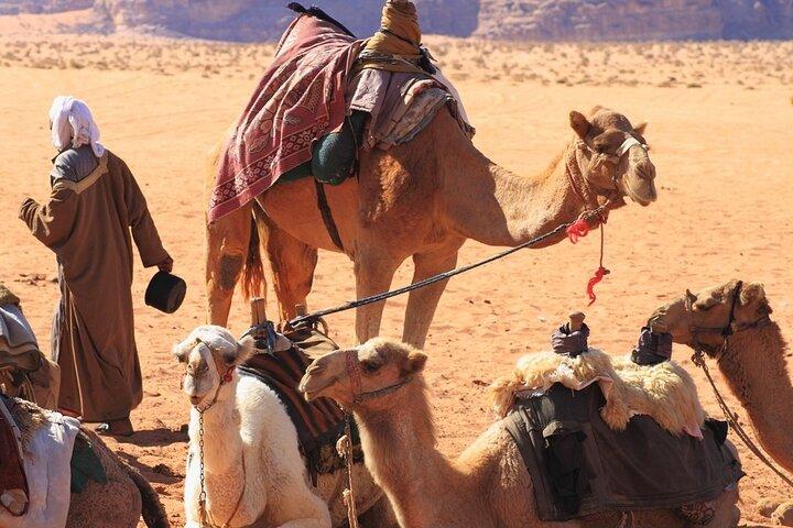 Nubian Village Day Trip com passeio de camelo de Aswan