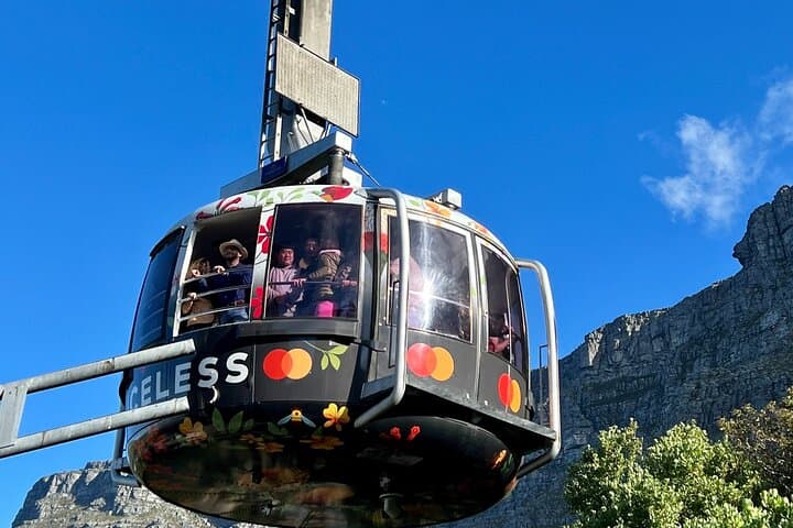 Top 10 Super Tour: Table Mountain, Penguins & Cape of Good Hope Small Group Trip